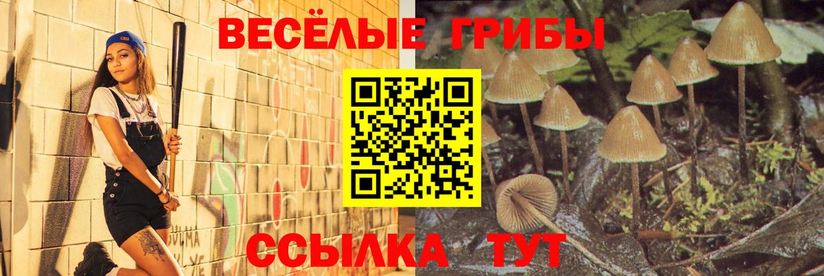Галлюциногенные грибы GOLDEN TEACHER Комсомольск-на-Амуре