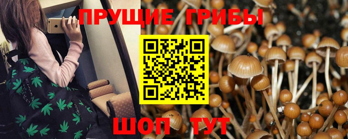 Псилоцибиновые грибы прущие грибы  Галлюциногенные грибы мицелий  Вход с VPN  Комсомольск-на-Амуре 